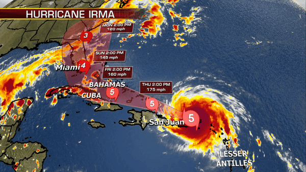 Guidance to Trade on Cargo Processing During Hurricane Irma