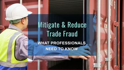 Trade Fraud Enforcement: What Professionals Need to Know